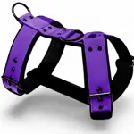 Postroj LARON Comfort vo fialovej farbe – ideálny na túry a šport