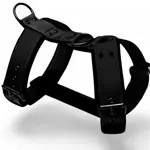 Čierny popruhový postroj Laron Comfort s mäkkým zimným softshellom