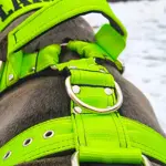  Popruhový postroj LARON zelený