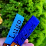 Kľúčenka z popruhu Laron, zladená s obojkom a vôdzkou. Kľúčenka z popruhu Laron, zladená s obojkom a vôdzkou.