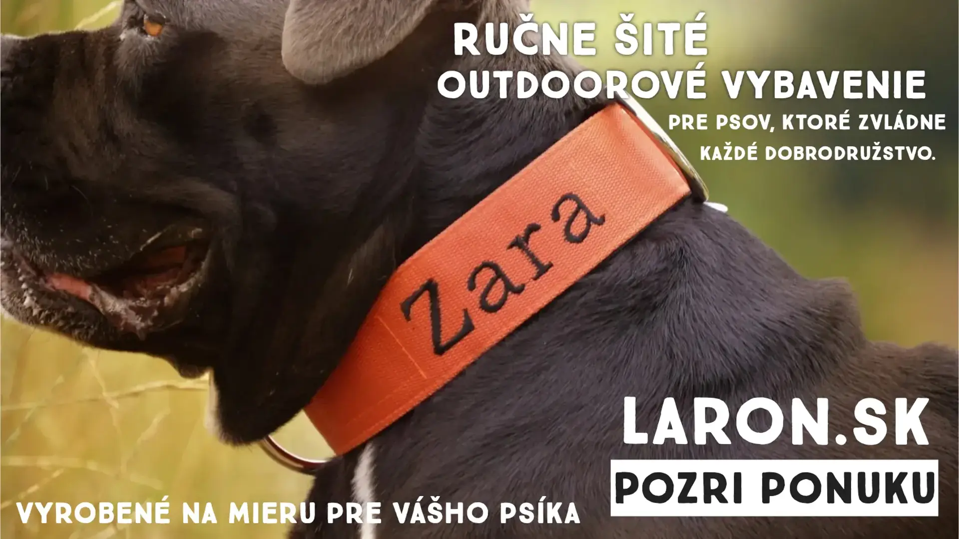 Laron.sk