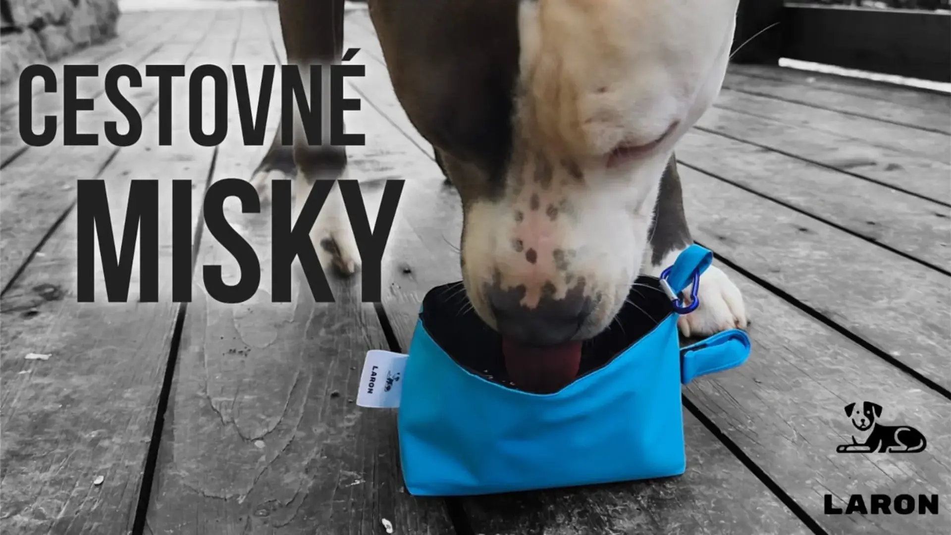 Vešiaky na obojky a vodítka