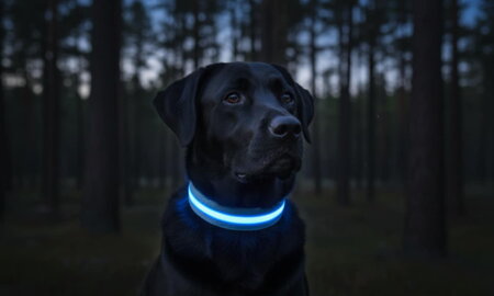 Limitované edície Laron.sk