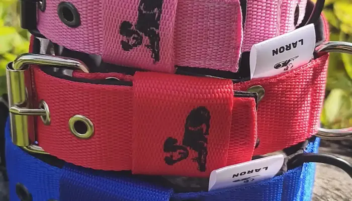 Ako vybrať správny obojok pre psa podľa plemena, váhy a povahy