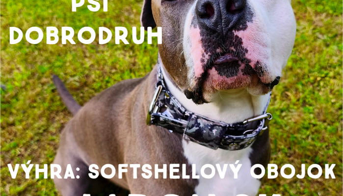 Súťaž „Psí dobrodruh": Ukáž svojho štvornohého objaviteľa a vyhraj obojok!