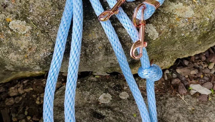 Prečo je dôležité mať kvalitné vodítko a ako ho vybrať?