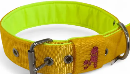 Vlastný návrh - Psie obojky s madlom (rúčkou/uchom), vyšívaným menom a voľbou farieb popruhu, softshellu a šitia